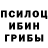 Псилоцибиновые грибы Cubensis Bahodur1987 Gaforov
