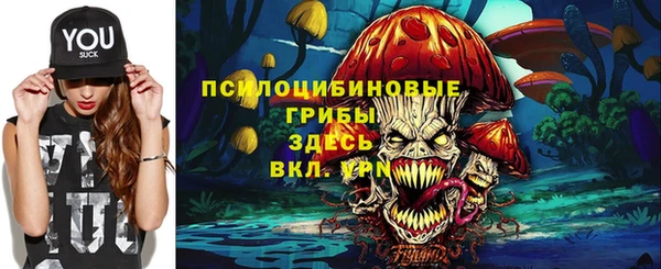 МДМА Арсеньев