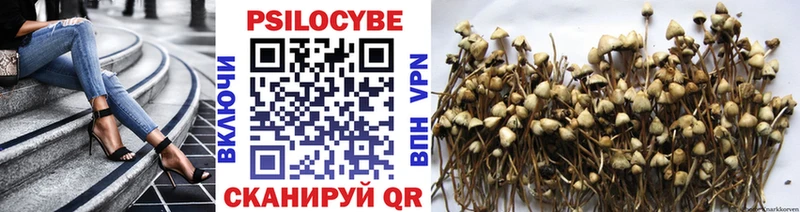 Псилоцибиновые грибы Psilocybine cubensis mega зеркало Россошь